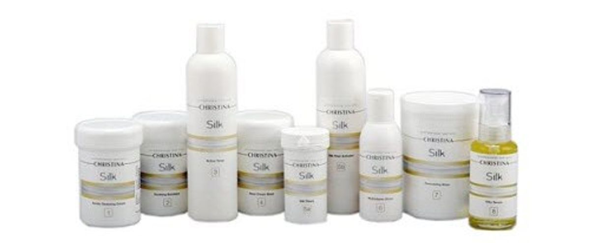 Christina Silk 9 Products Professional Salon Kit